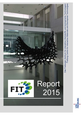 FIT-Bericht_2015_Deckblatt.jpg